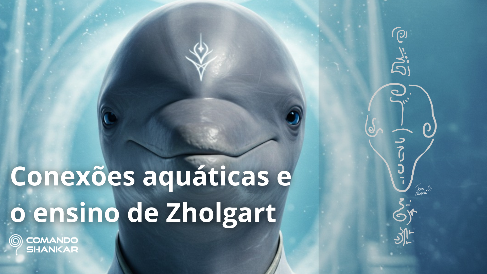 Conexões aquáticas e o ensino de Zholgart